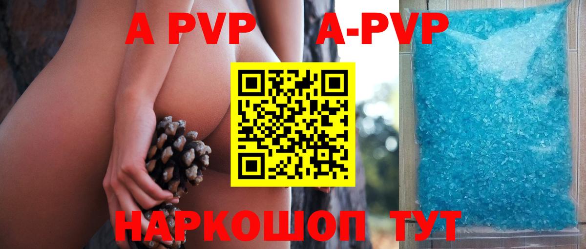 A PVP СК Улан-Удэ