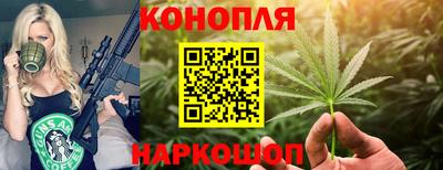 прущие грибы Волгодонск