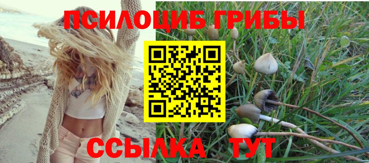 Псилоцибиновые грибы прущие грибы Улан-Удэ